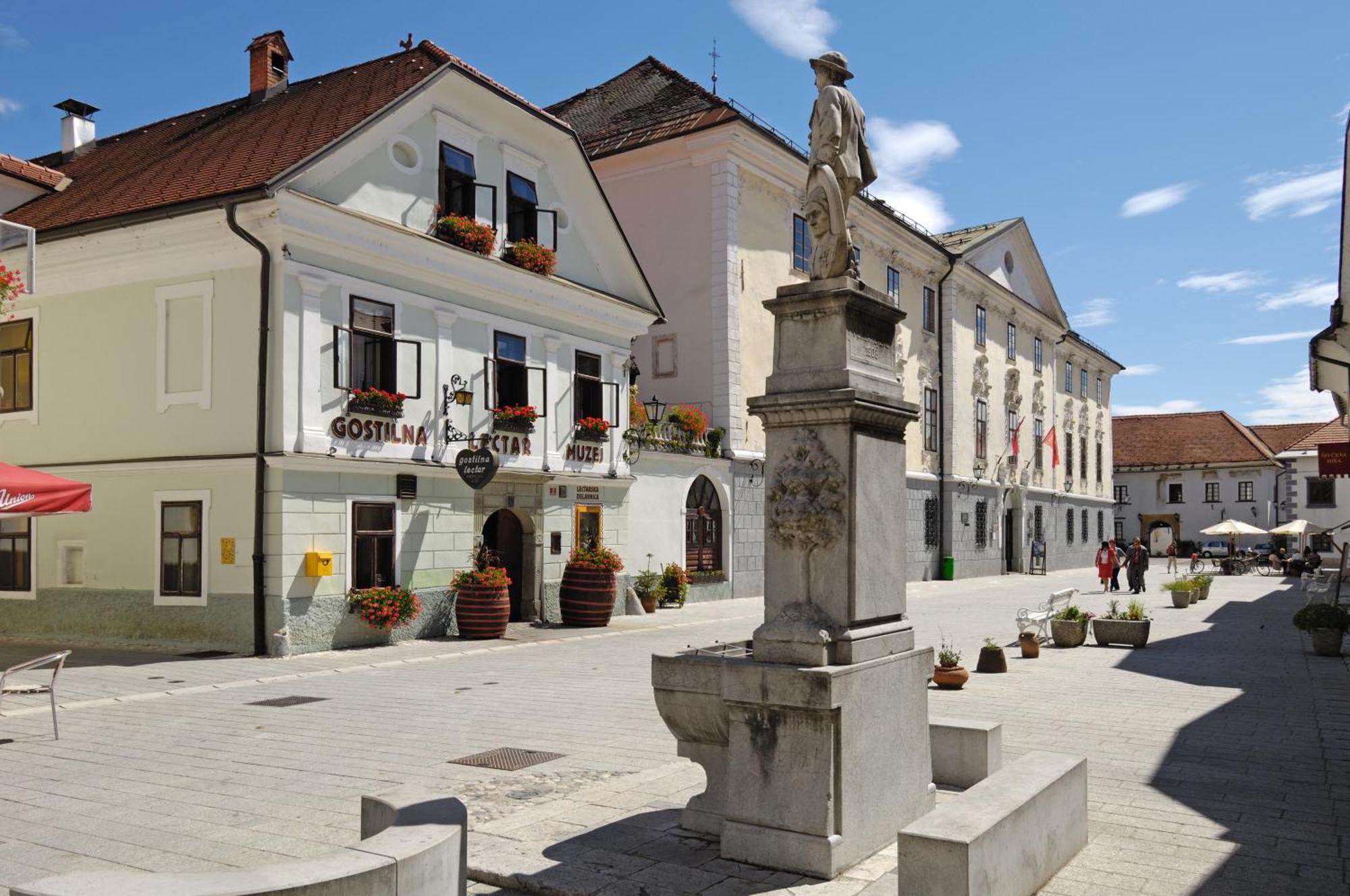 Pension Lectar Radovljica Exterior foto