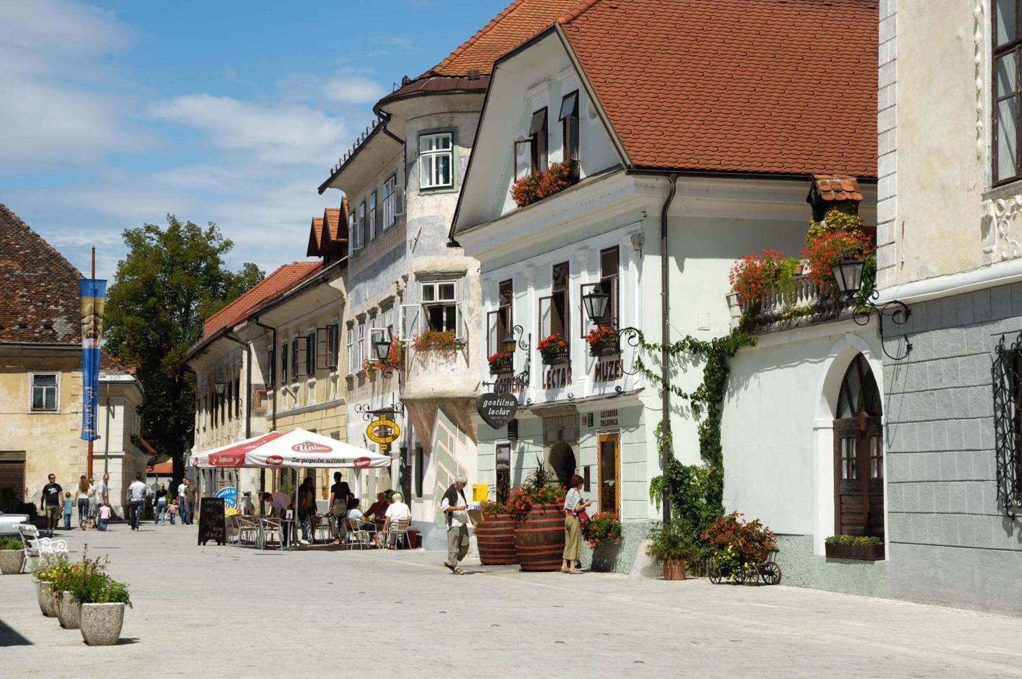 Pension Lectar Radovljica Exterior foto